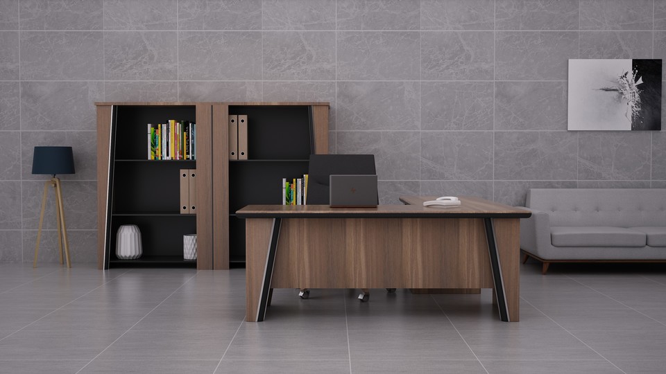 Director Suite Office Setup 4